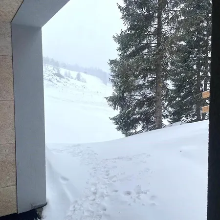 Allegra Joy C10 Apartment *