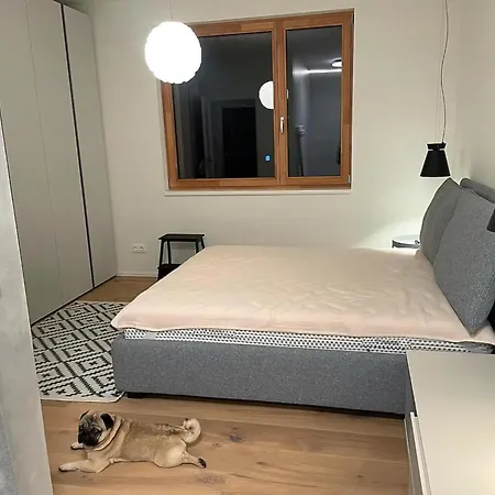 Allegra Joy C10 Tröpolach