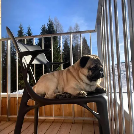 Allegra Joy Sonnenalpe Nassfeld