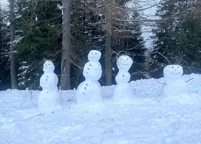 Sonnenalpe Nassfeld Allegra Joy C10 아파트 *